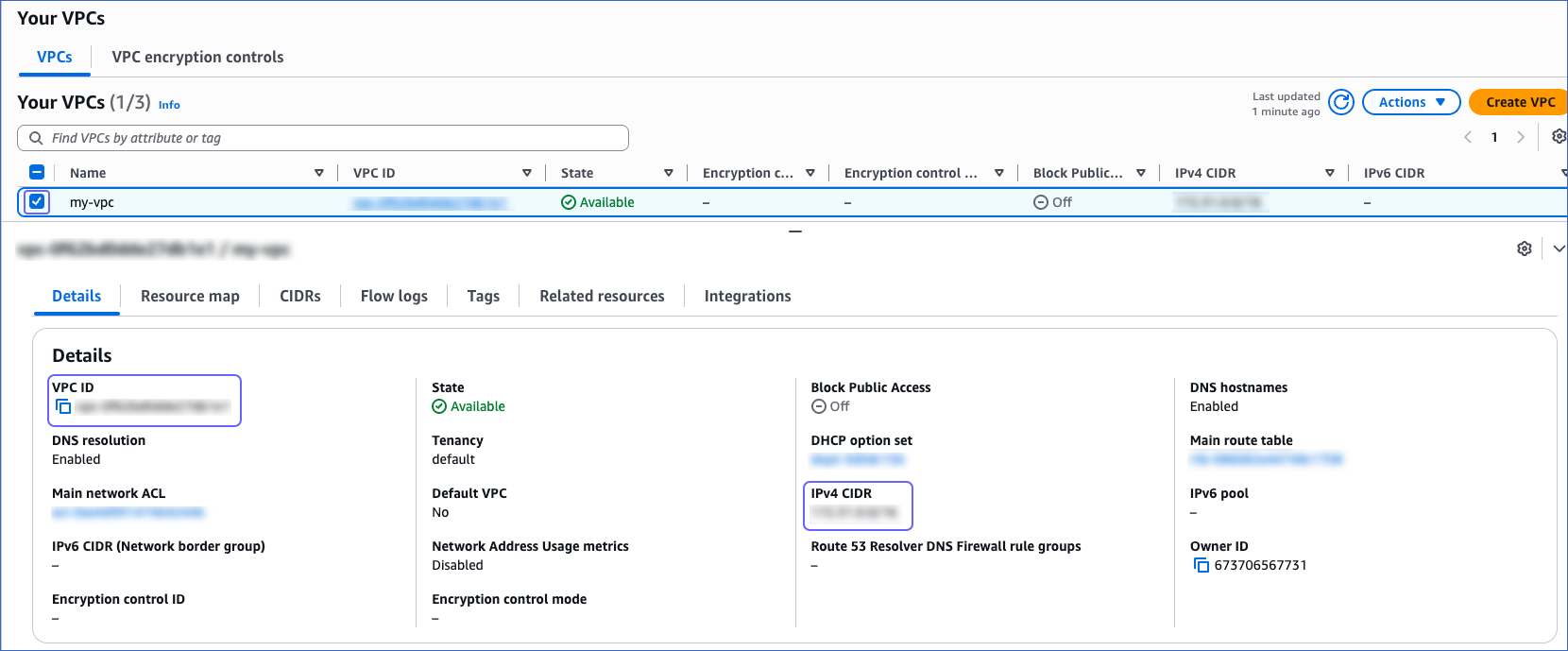 Copy VPC ID and CIDR
