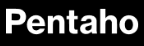 2. Pentaho logo