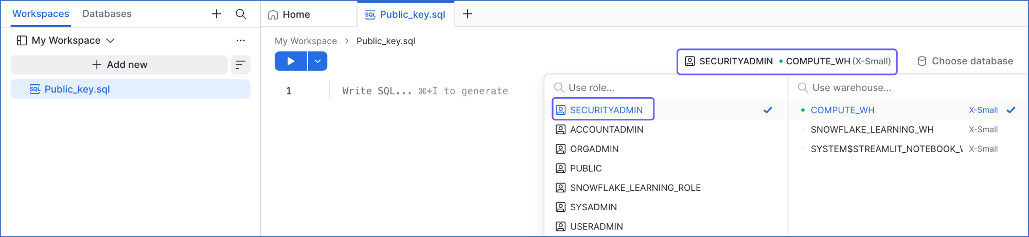 Select the SECURITYADMIN role