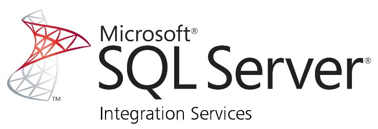 9. Microsoft SSIS logo