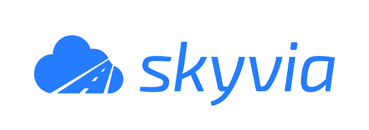 4. Skyvia logo
