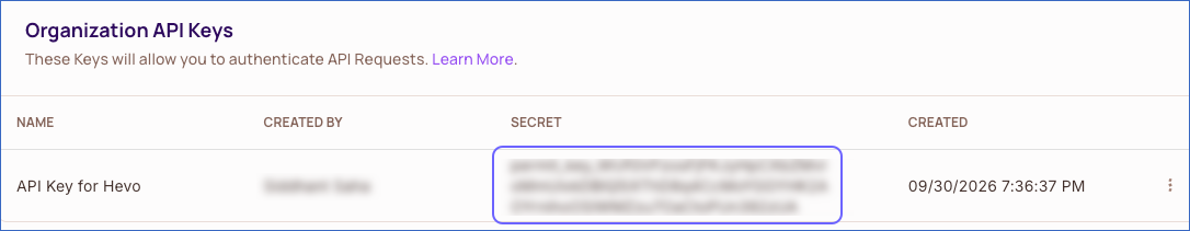 Copy Organization API Key