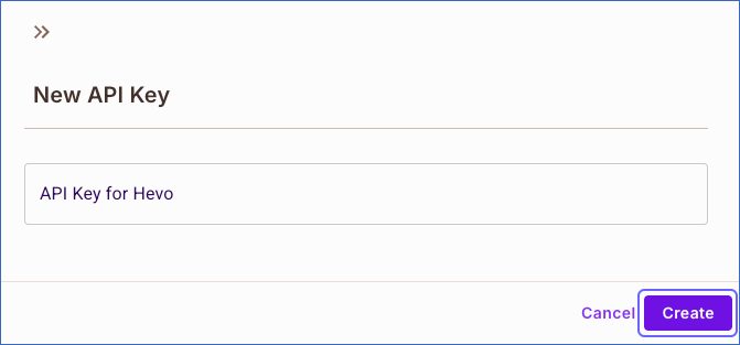 New Organization API Key