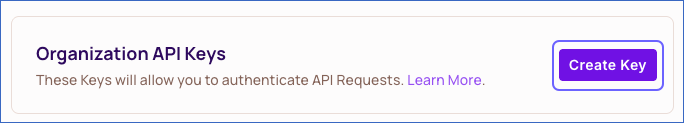 Create Organization API Key