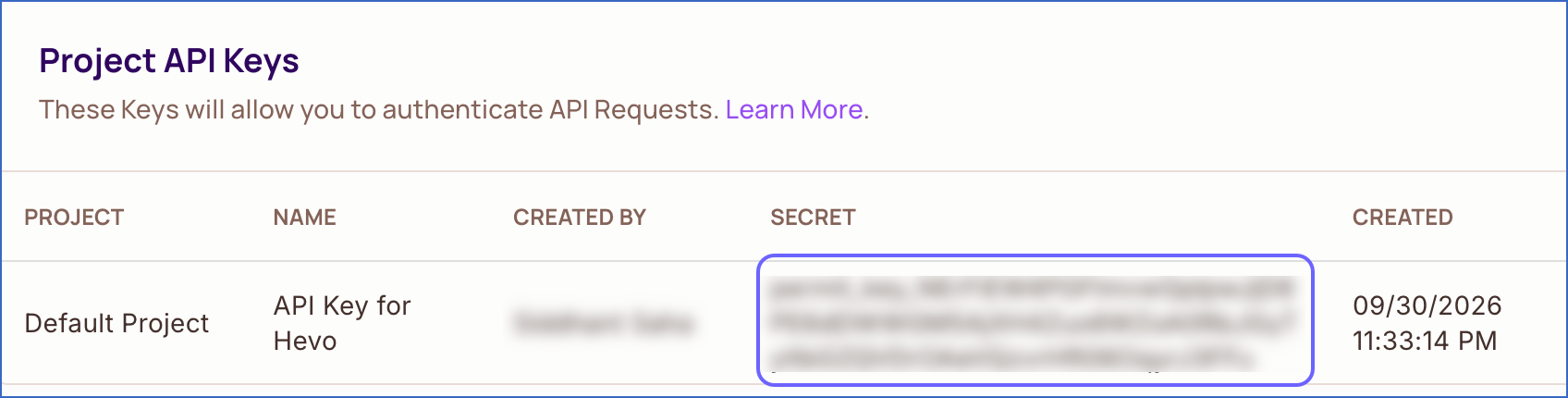 Copy Project API Key
