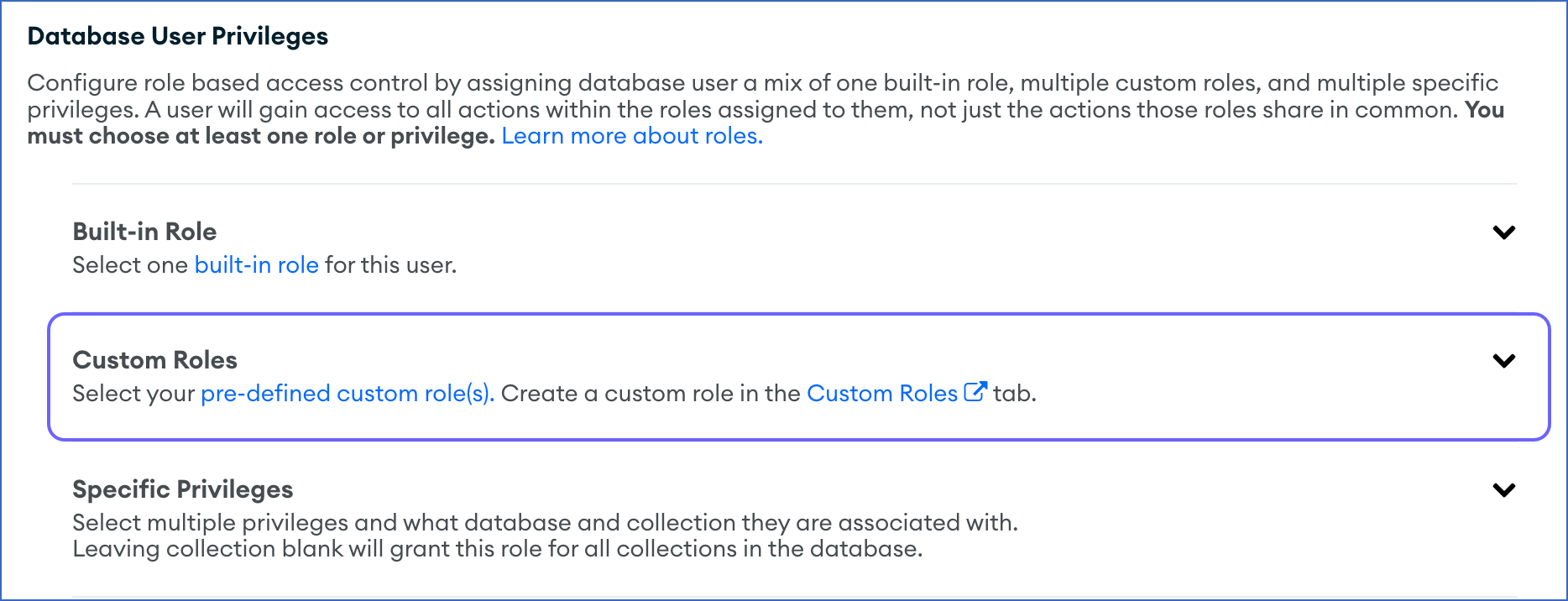 Click Custom Roles