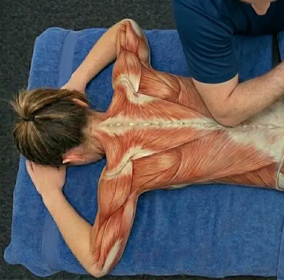 Elite Loosen Up Sports Massage Swansea