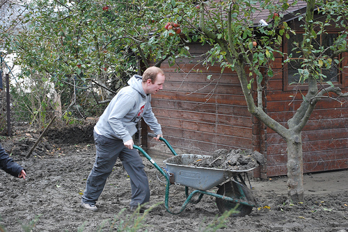 volunteering photo