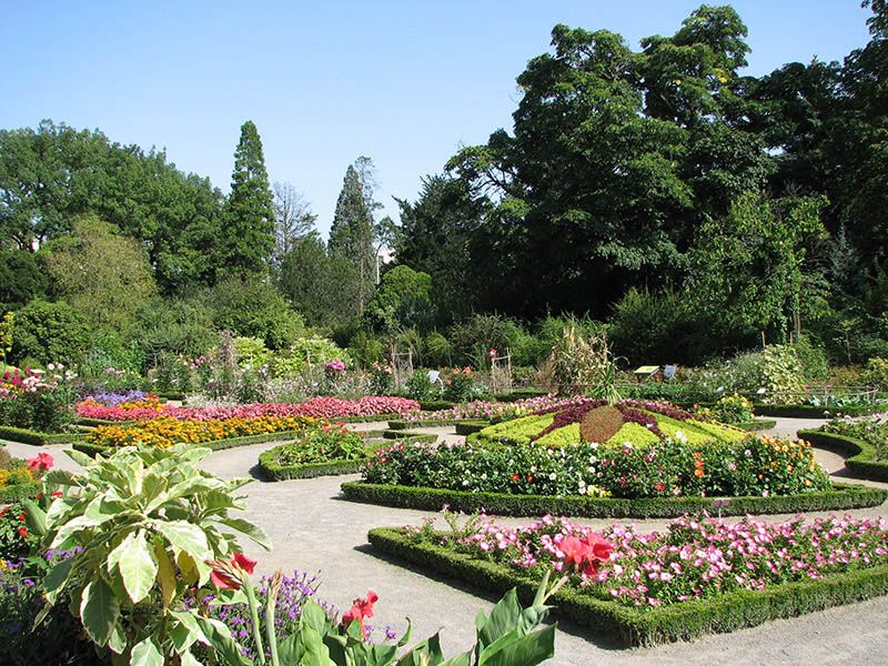 Le parc de la tête d'or