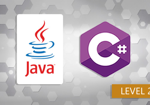  Intermediate C# and Java programming course