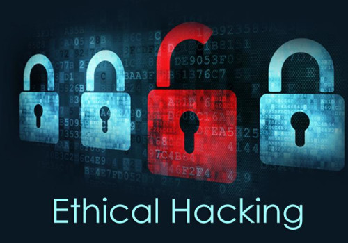 Hands On Penetration Testing and Ethical Hacking Training Course 