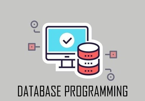 Database Programming