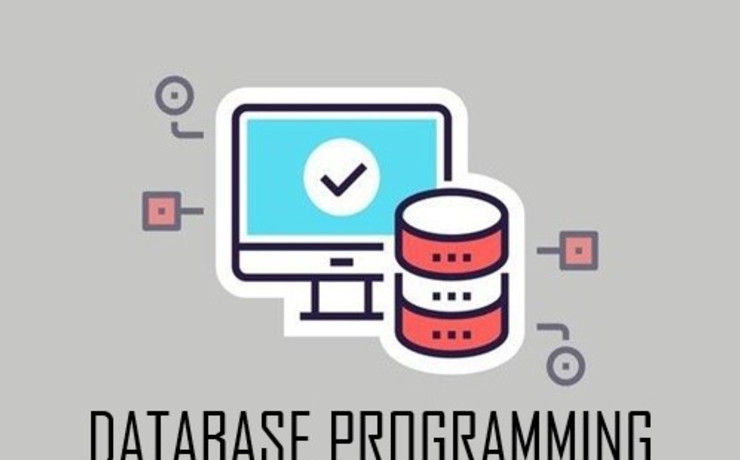 Database Programming