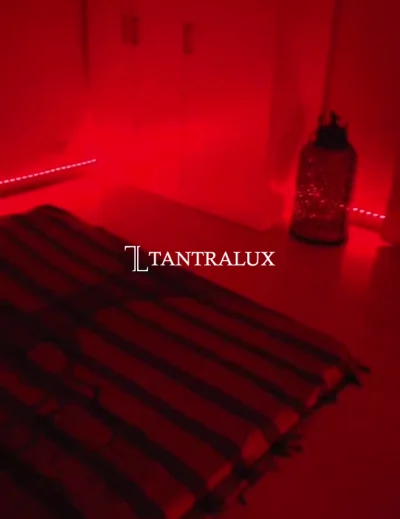 3207746501 Shanti 1845