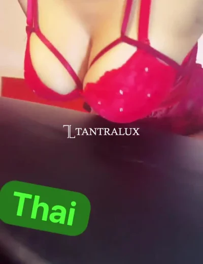 3806894017 Tantra Milkingtable 2449