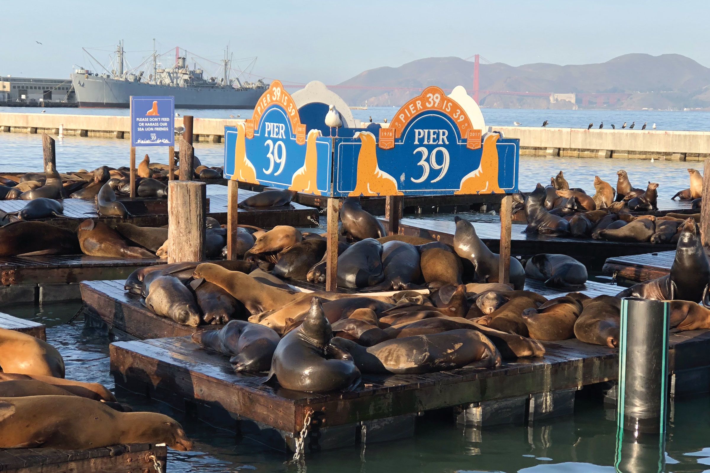Pier 39 Waterfront
