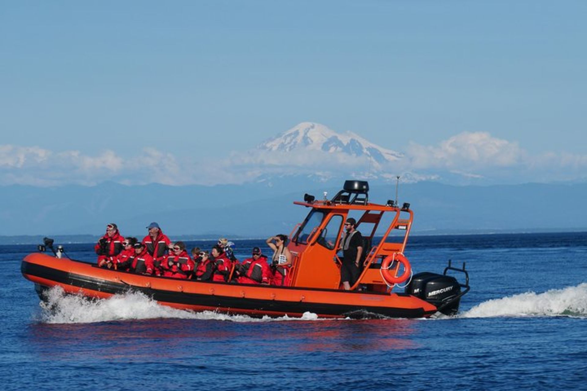 whale watching tour nanaimo