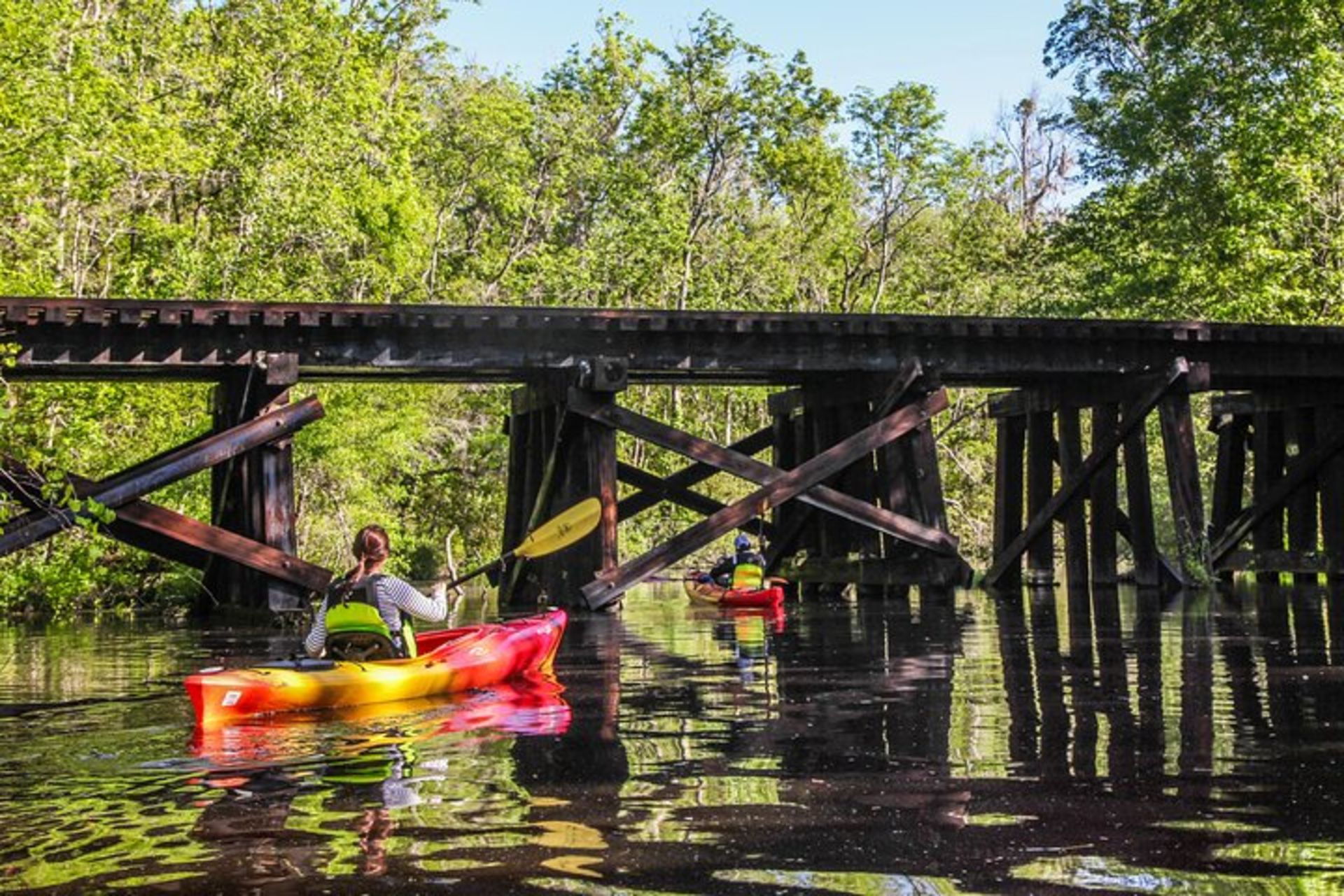 Amelia Island Guided Kayak Tour of Lofton Creek Amelia Adventures & KAYAK