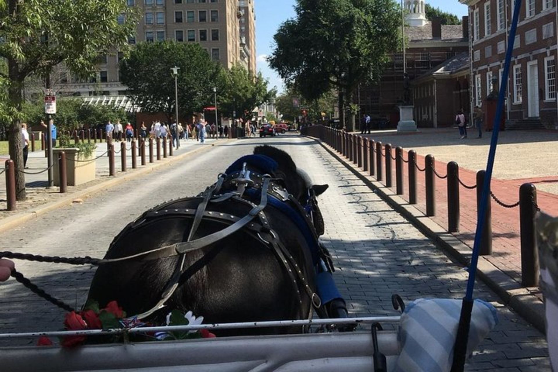 Philadelphia Horse Drawn Carriage Tour Philadelphia Trolley Works