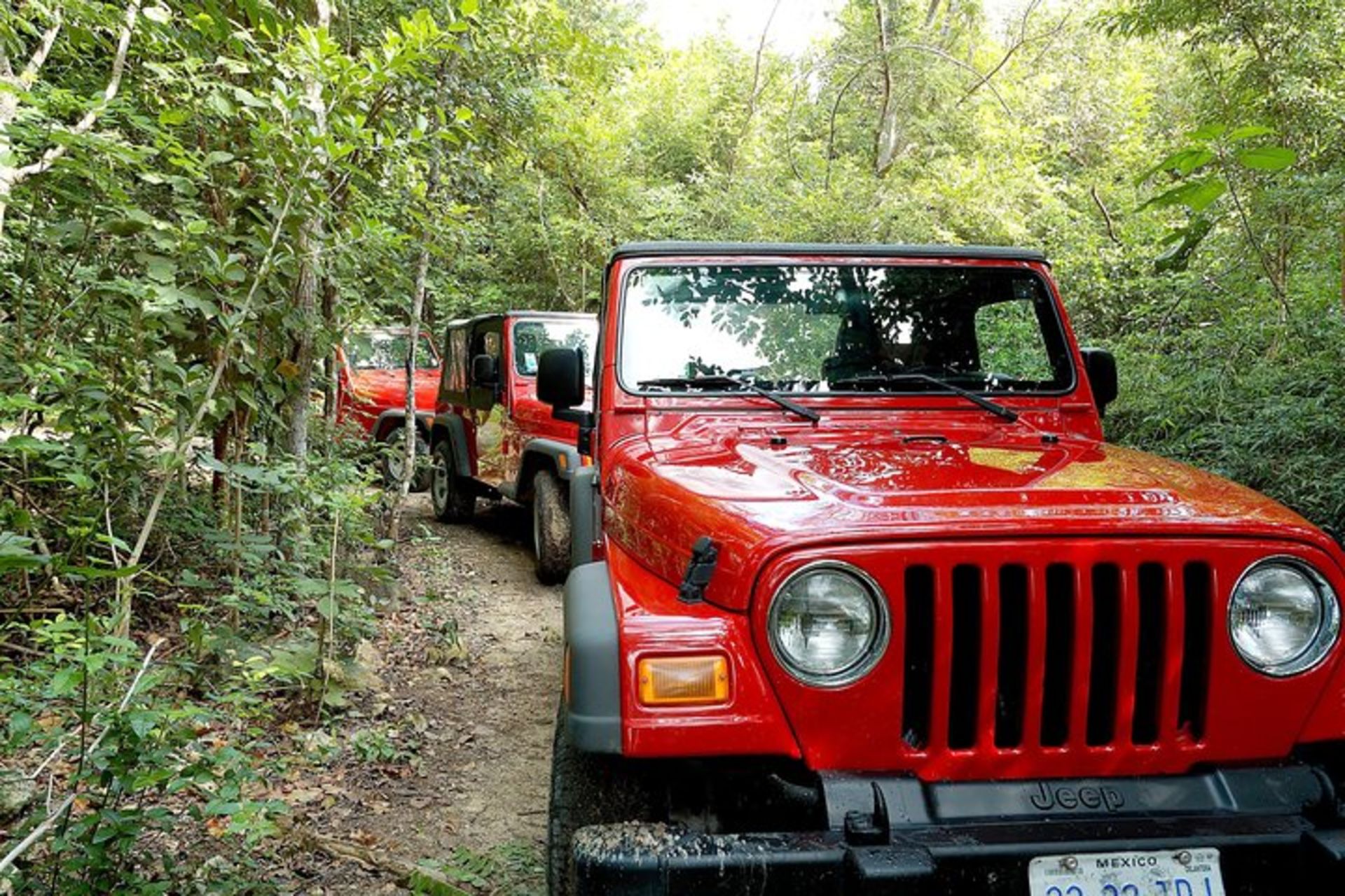 Private Island Jeep & Kayak Adventure in Cozumel-Pitahaya Tours and  Experiences