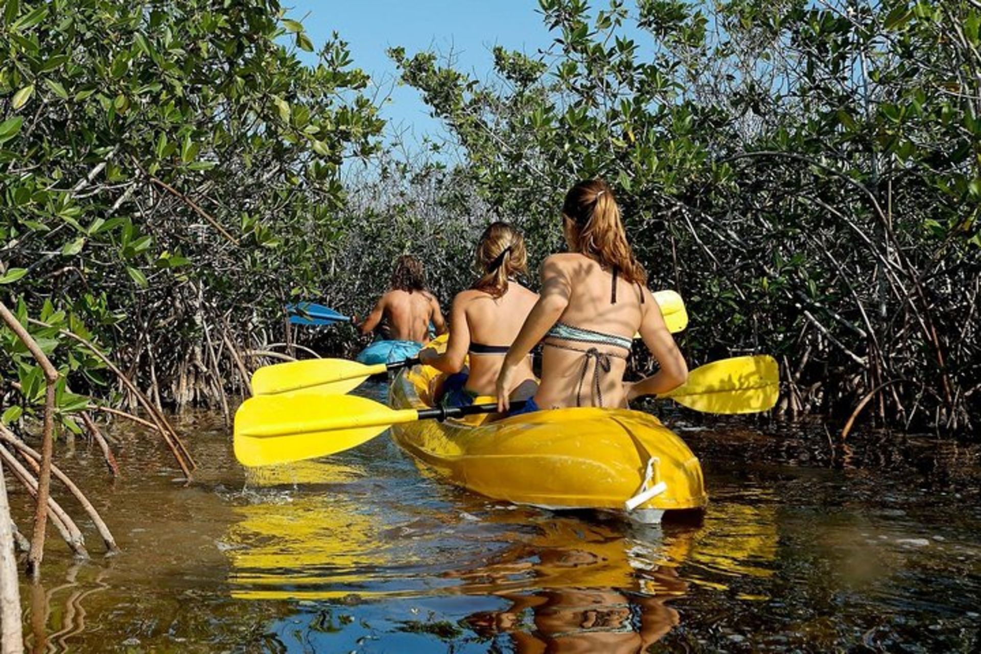 Private Island Jeep & Kayak Adventure in Cozumel-Pitahaya Tours and  Experiences