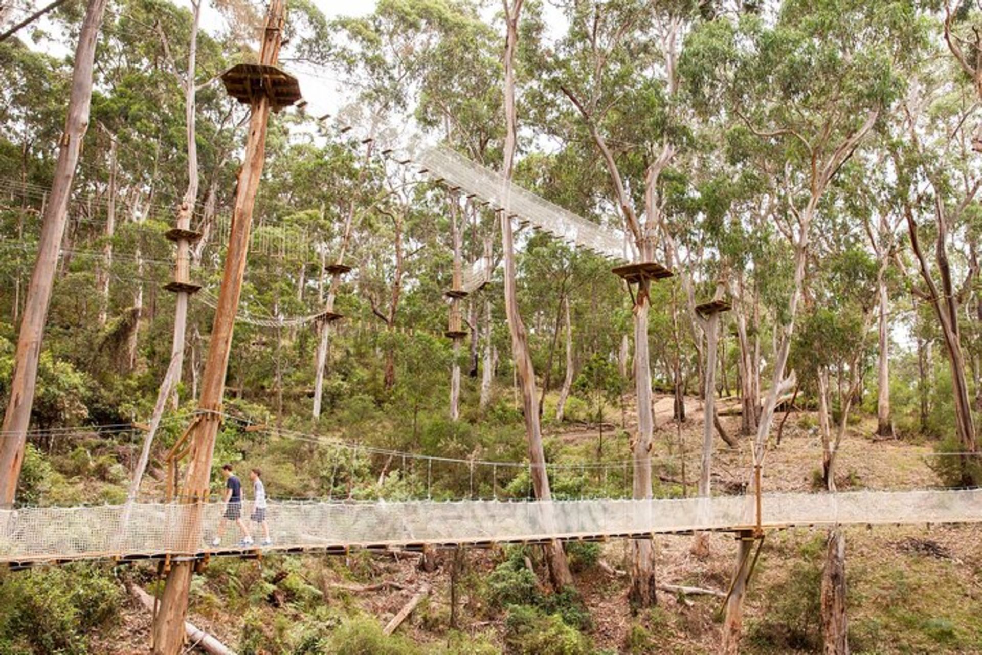 Super Circuit Ropes Course Adventure in LorneLive Wire Park