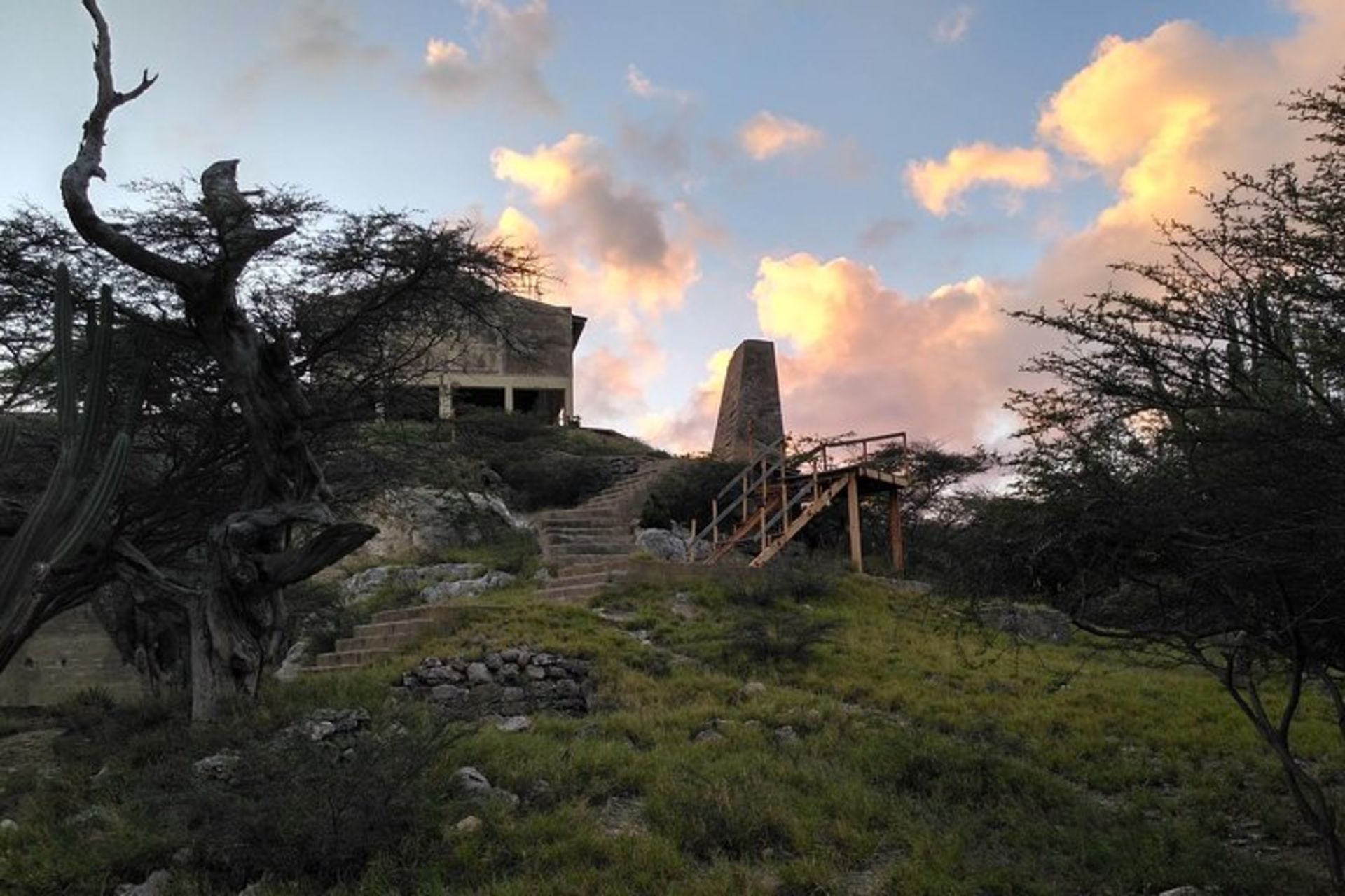Ecofriendly hike & snorkel excursion Aruba's mangroves & pristine