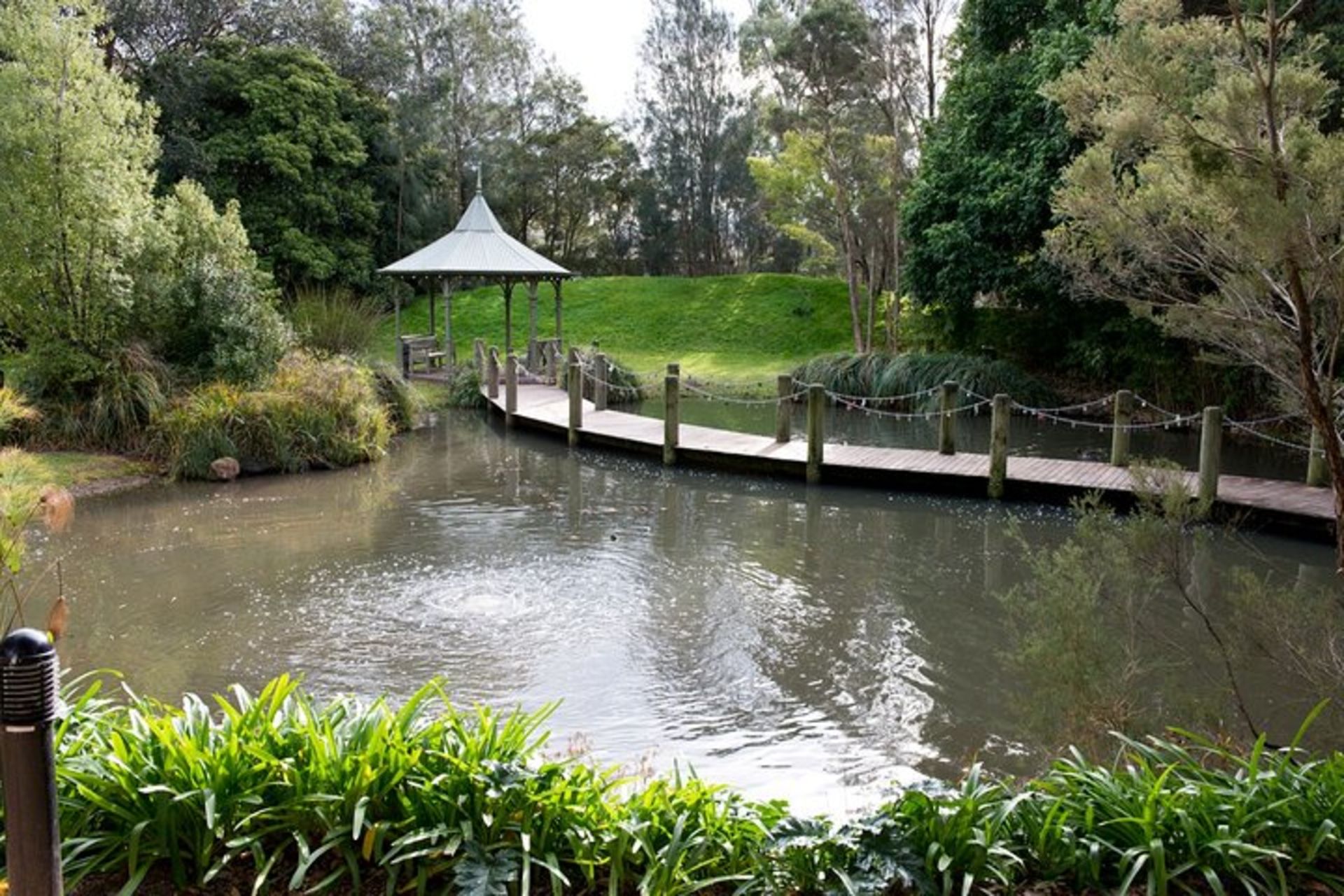 official neighbours tours melbourne