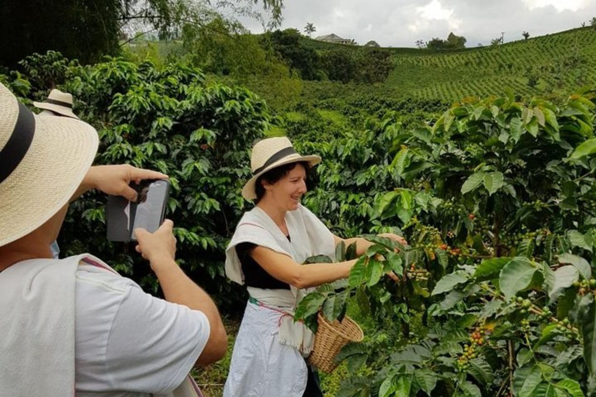 coffee tour santa rosa de cabal