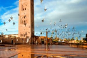 Unlock the Treasures of the Medina, Private Walking Tour