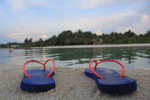 Multi-Day Maldives Island Hopping Tour