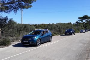 Self-drive Guided Tour to Salt marshes and Southern cliffs