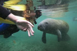 Florida Adventure Tour