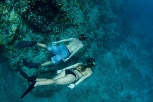 St. Thomas Maho Bay Turtle Snorkel Sail - Ritz-Carlton