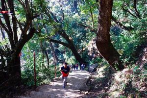 2N/3D - Chisapani to Nagarkot Trek from Kathmandu