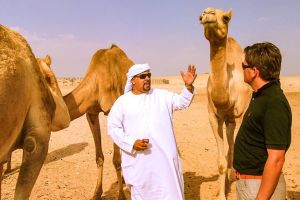 Morning Camel Safari Tour with Breakfast