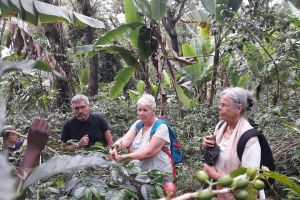 Materuni Waterfalls & Coffee Tour