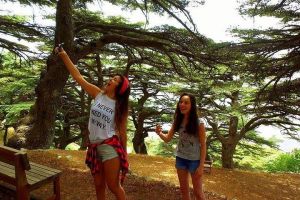 Deir Al-Qamar, Beiteddine Palace and Shouf Cedars Tour