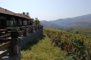 Private Wine Tour of Chateau Sopot Winery from Skopje