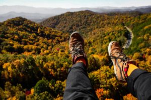 Scenic Special - Private Tour