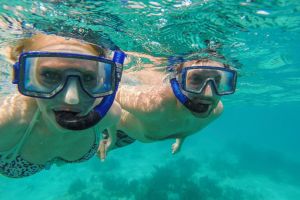 Turks and Caicos Deluxe Half-Day Reef Snorkel