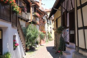 Alsace Villages Half Day Trip From Strasbourg (shared)
