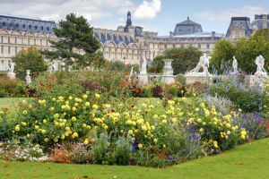 Essential Paris: Walking Tour with Ile de la Cite