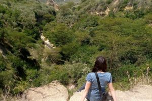 Private Lake Naivasha Day Trip