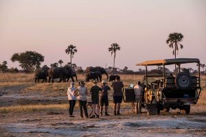 Victoria Falls: Chobe National Park Day Trip with Lunch