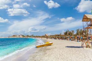 Abu Dabbab Beach Full Day Trip Snorkeling with Turtles