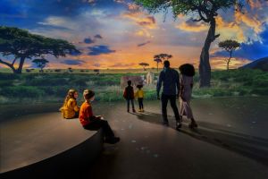 WILD: A Safari Experience