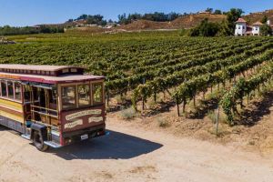 Highlights of the Hill Country Tour