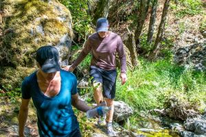 Wine & Wellness Hike & Wine Tour in Napa Valley