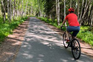 Anchorage Greenbelt Bike Tour - Private